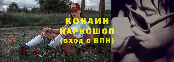 стаф Надым