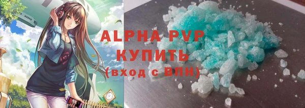 стаф Надым
