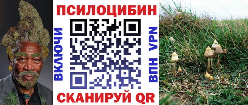 darknet официальный сайт Стерлитамак Галлюциногенные грибы MAGIC MUSHROOMS